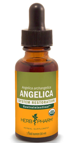 HerbPharm Angelica 1oz (Discounted)